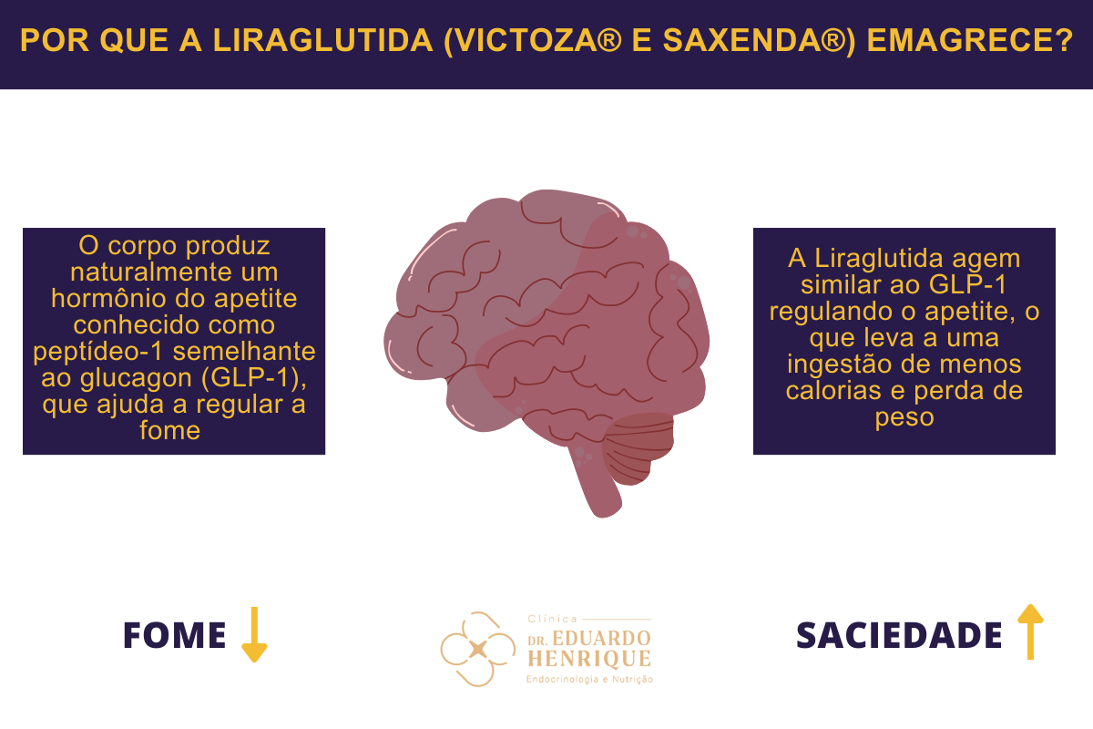 por-que-liraglutida-emagrece-dr-eduardo-henrique-endocrinologista-sao-paulo