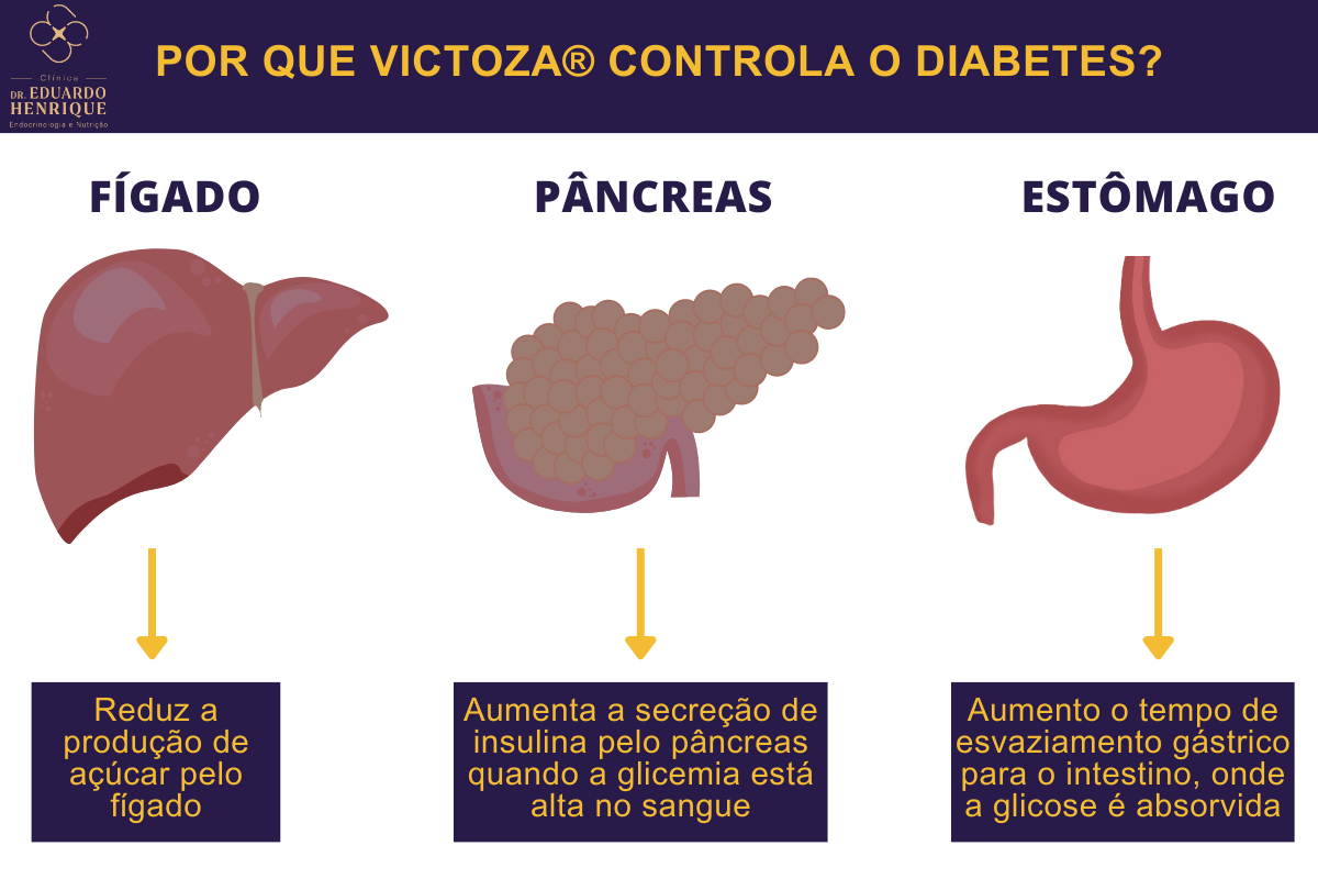 victoza-controle-diabetes-dr-eduardo-henrique-endocrinologista-sao-paulo