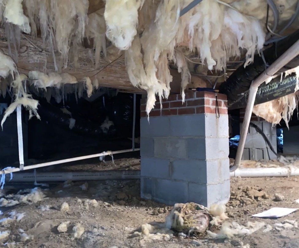 before crawl space encapsulation raleigh nc