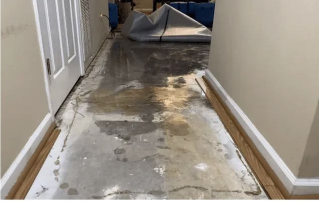 Raleigh Water Damage Restoration Mitigation & Water Removal Services