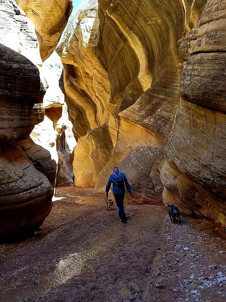 slot-canyons
