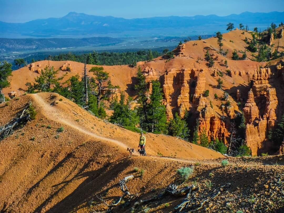red-rock-hiking-trail