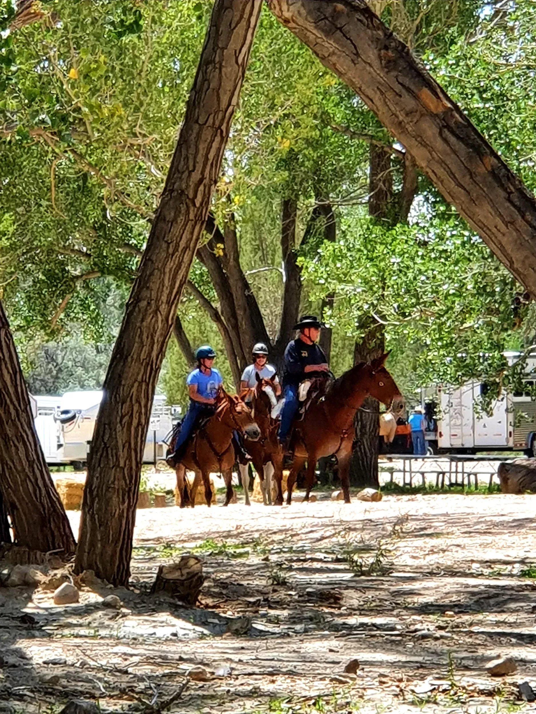 riding-horses-at-the-park
