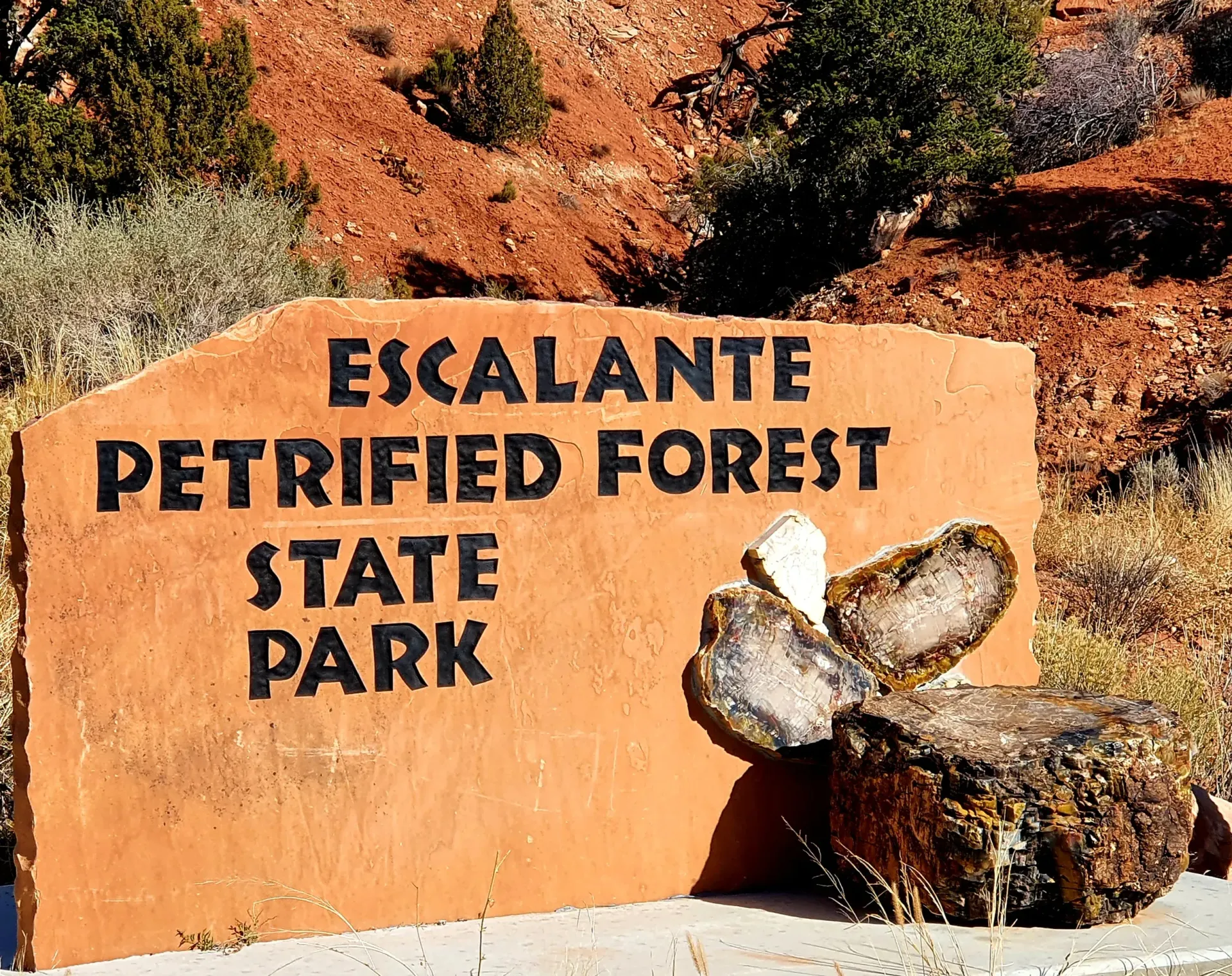 escalante-petrified-forest-park