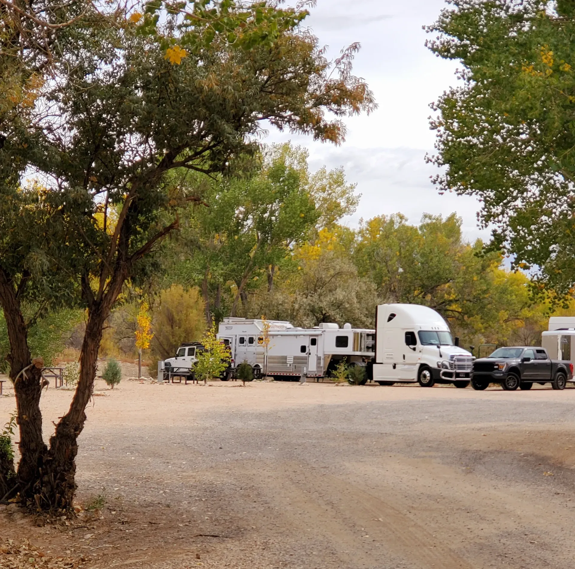 parking-lot-for-the-equine-sites