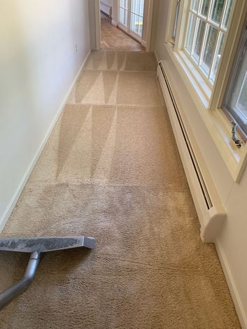 Vacuum Cleaner On Carpet — Carson City, NV — Floor Masters