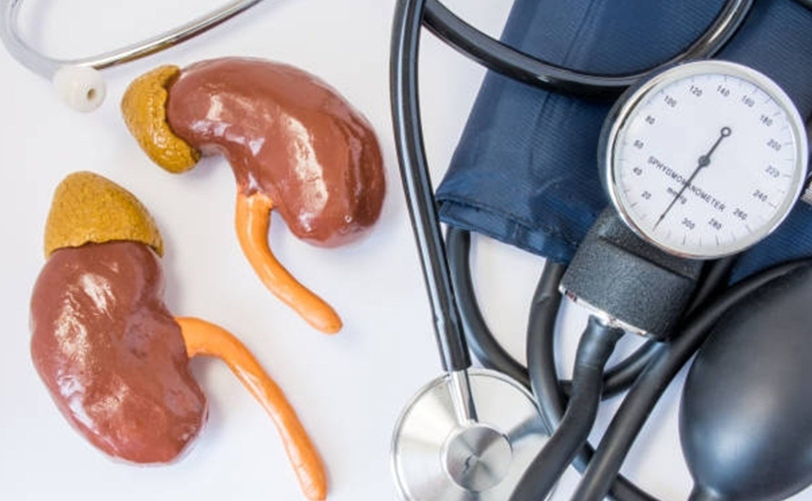 Kidney And Stethoscope — Tuscon, AZ — Arizona EndoVascular Center