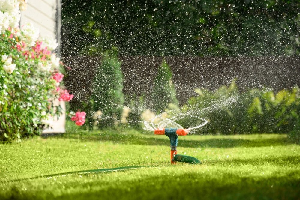 A lawn sprinkler waters a green lawn in front of a house, with pink and white flowers in the background.