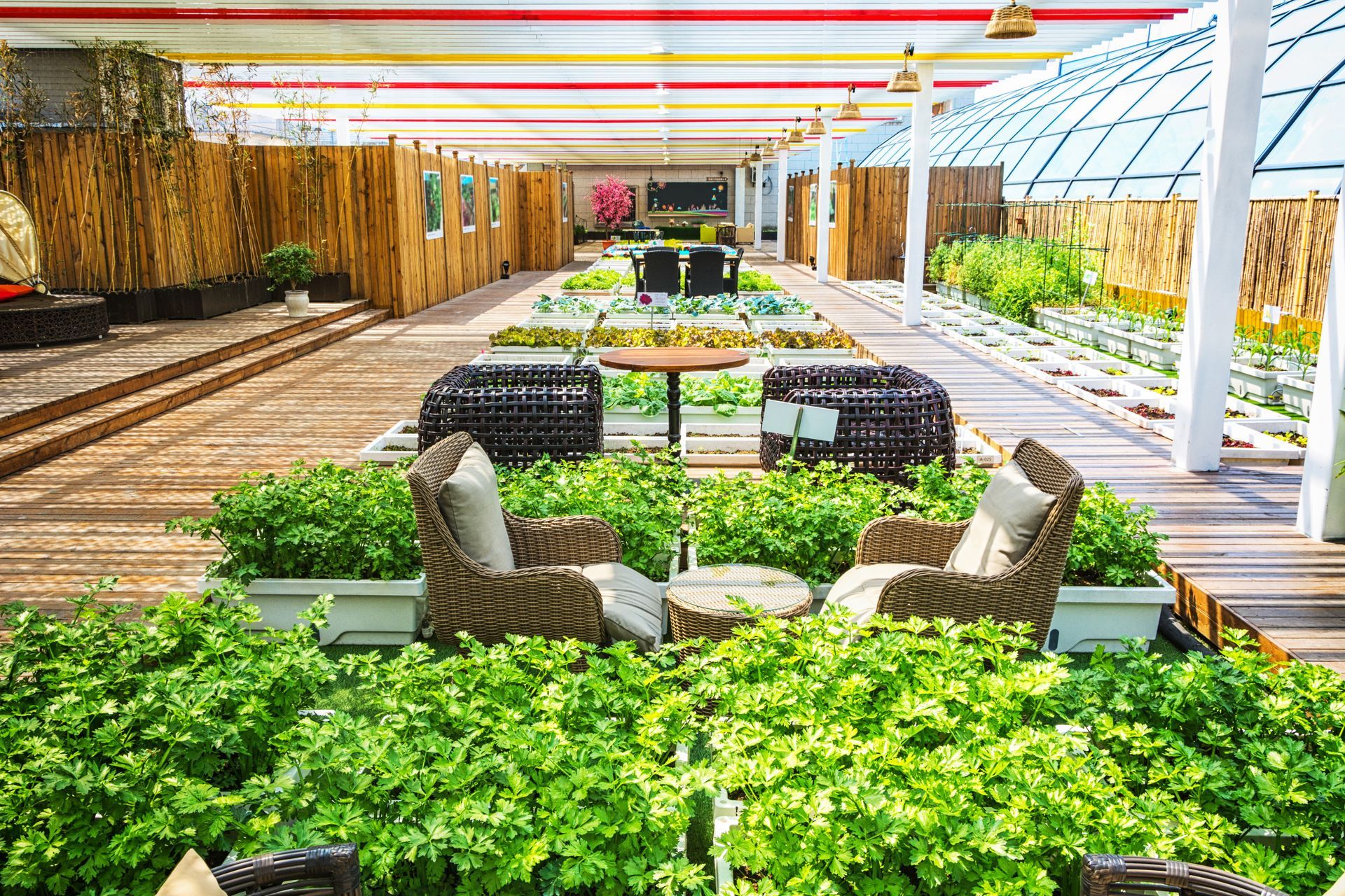 Greenhouse with seating areas surrounded by rows of plants and wooden accents.