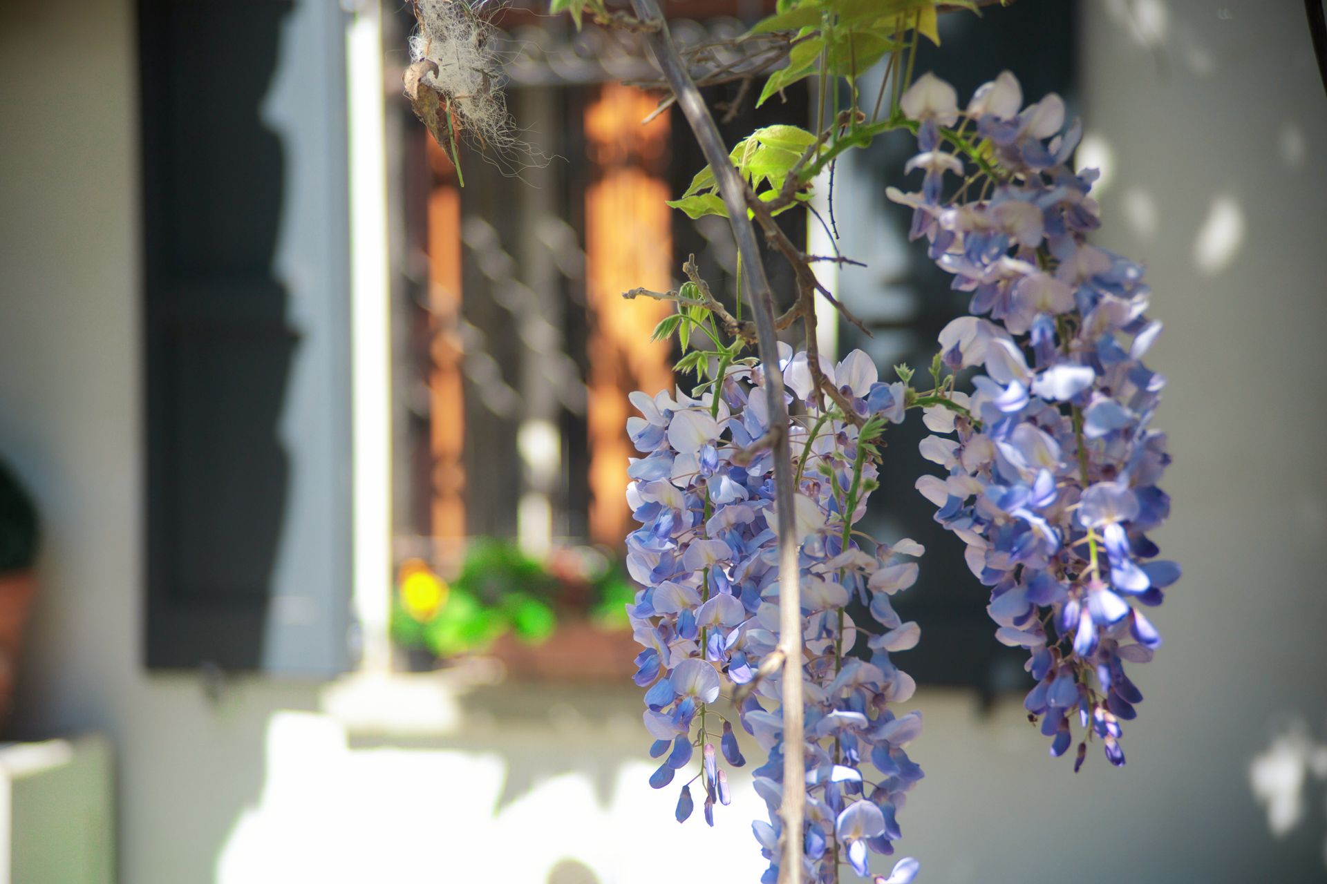 fotografia immobiliare