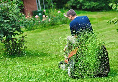 lawn mower, moving the garden