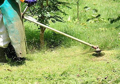 lawn mowing by the experts