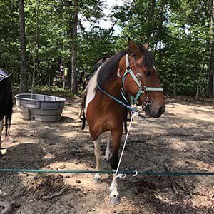 image-72252-02D22872.jpg?1410464811485