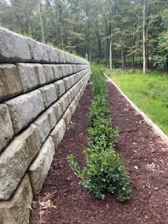A stone wall surrounding a lush green field with trees in the background.