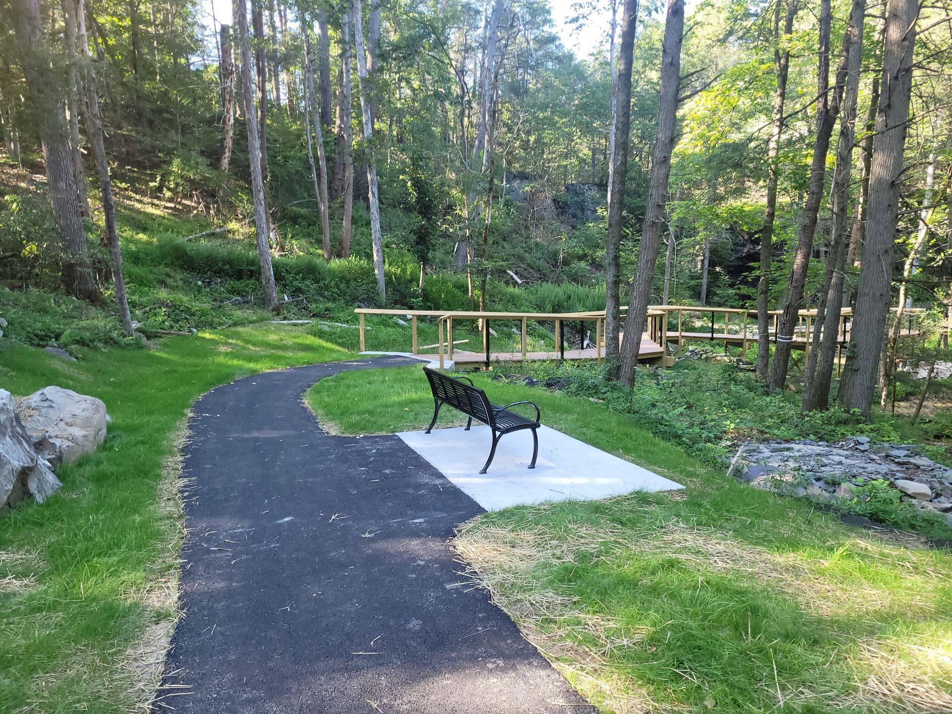 A bench is sitting on the side of a path in the woods.