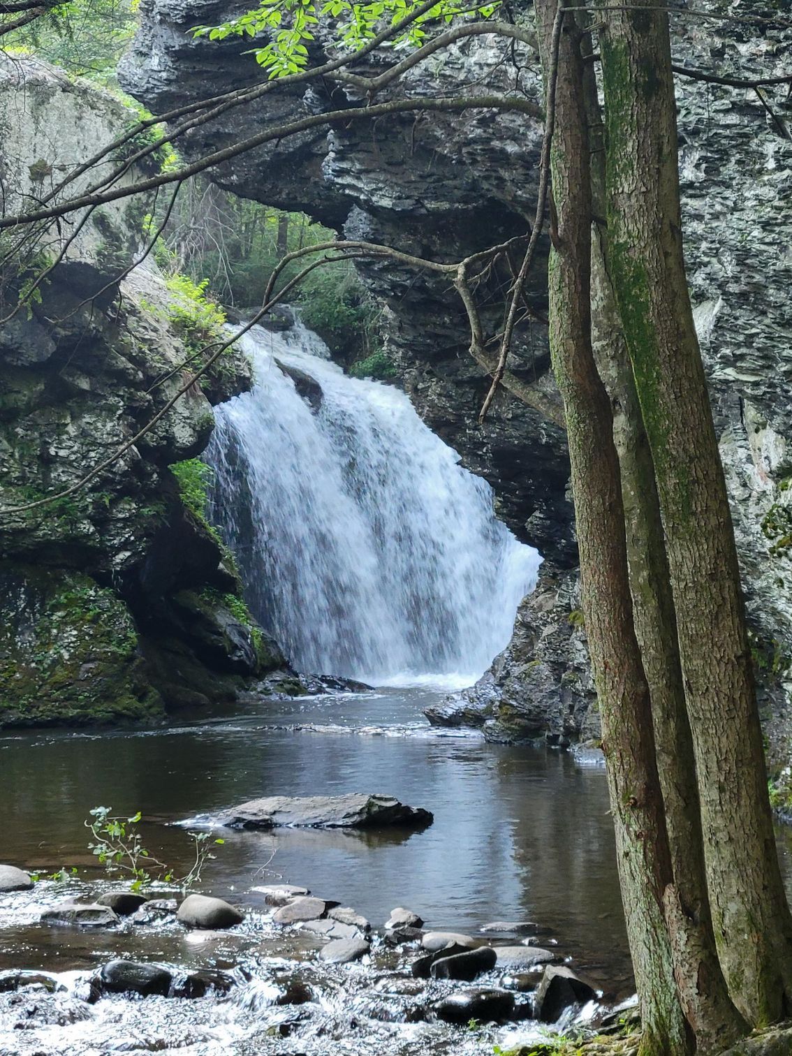 A Marshall Falls is surrounded by rocks and trees in the middle of a river.