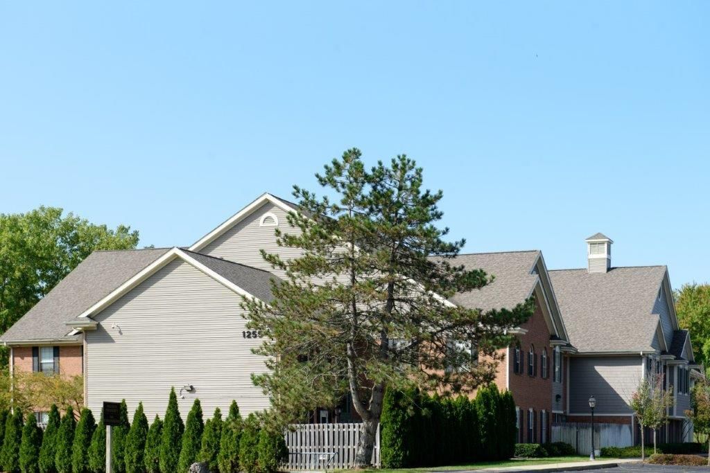 Buildings with gray and brick siding, trees, and blue sky.