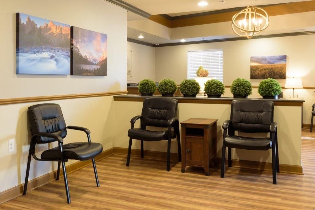 Waiting room with black chairs, landscape art, and decorative plants.