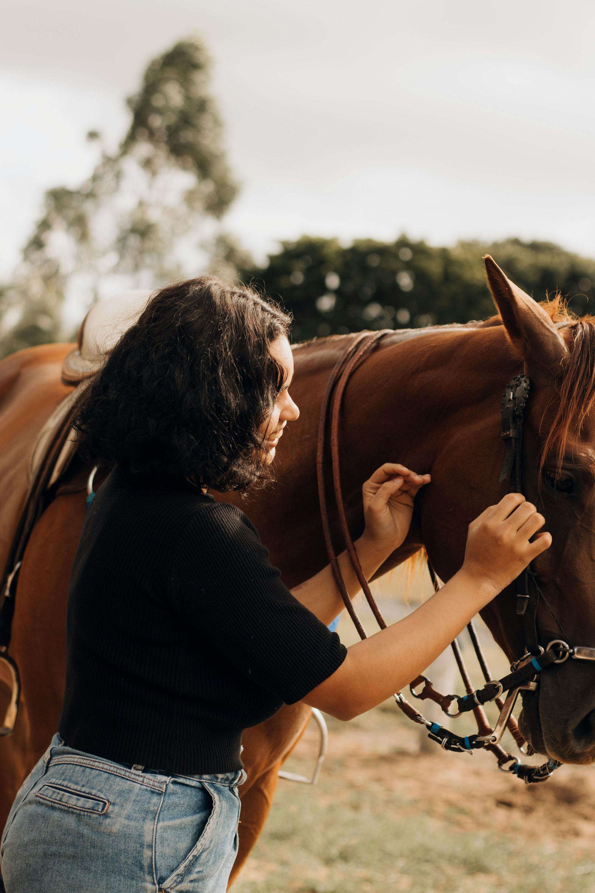 Brick building with large columns, glass doors, and trees in front.