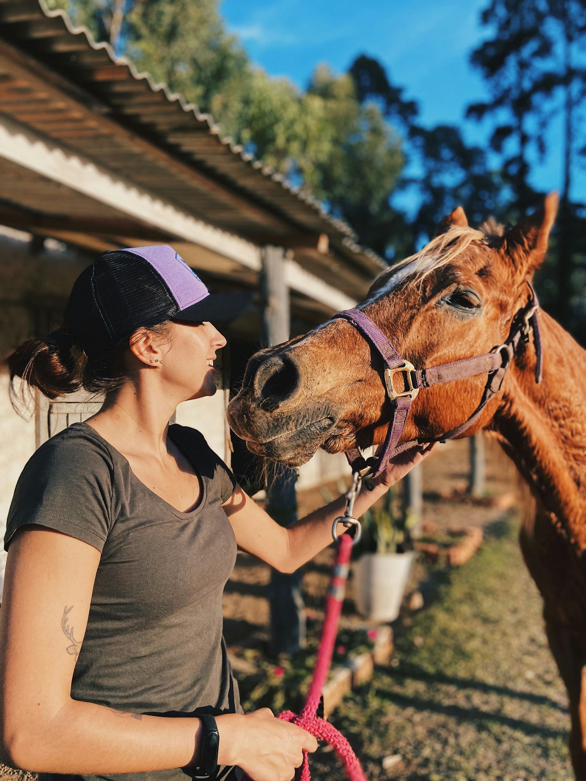 Entrance to Meridian Health Services with glass doors and logos.
