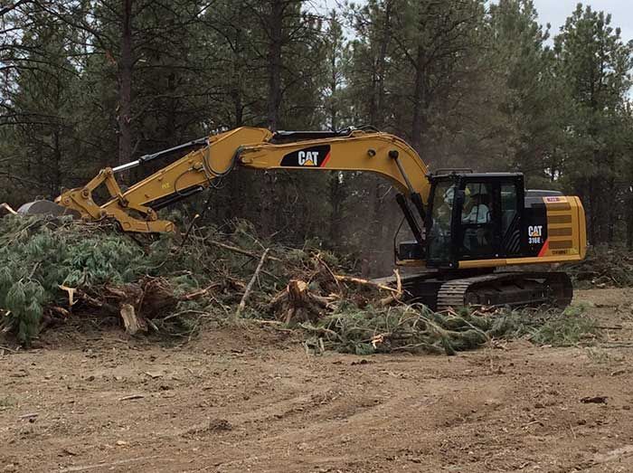 Yellow Caterpillar excavator clearing brush in a wooded area.