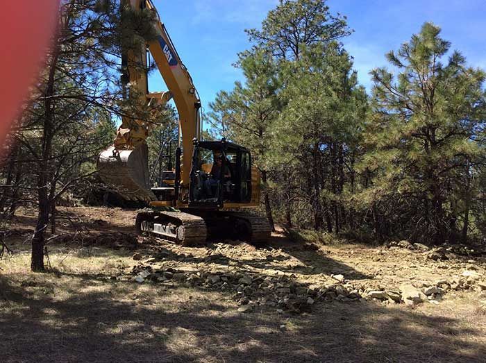 An excavator clearing land in a wooded area, with a blue sky visible.