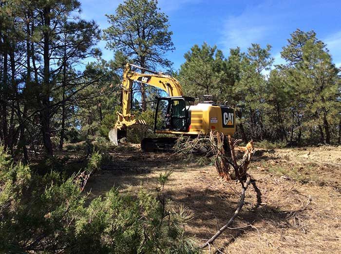 Yellow excavator clearing brush in a forest setting under a blue sky.