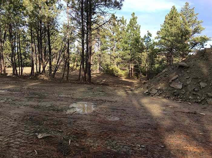 Dirt path in a forest with a small pile of dirt.
