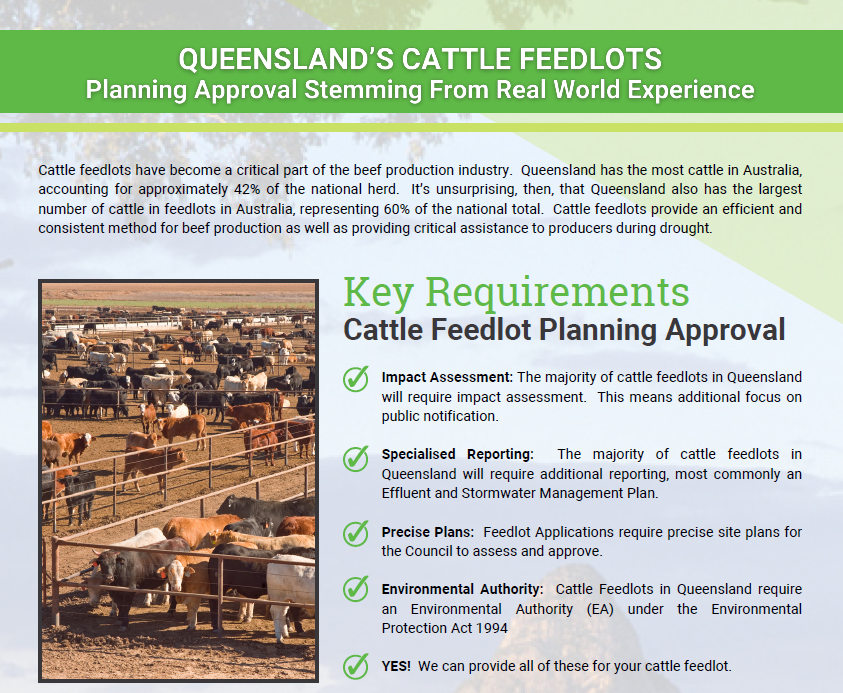 Cattle Feedlot Flyer