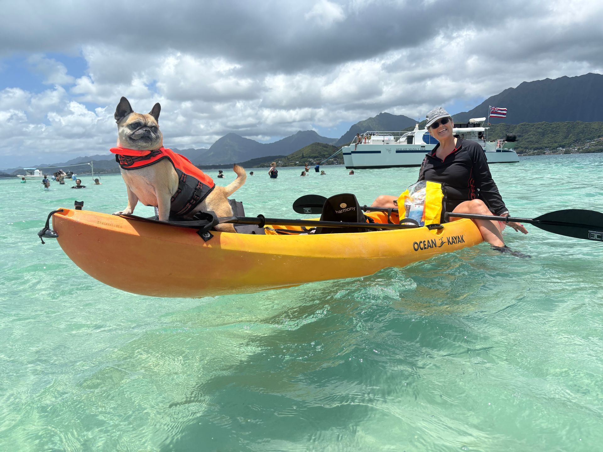 A dog is sitting on top of a yellow kayak in the water. A dog is sitting on top of a yellow kayak in the water.
