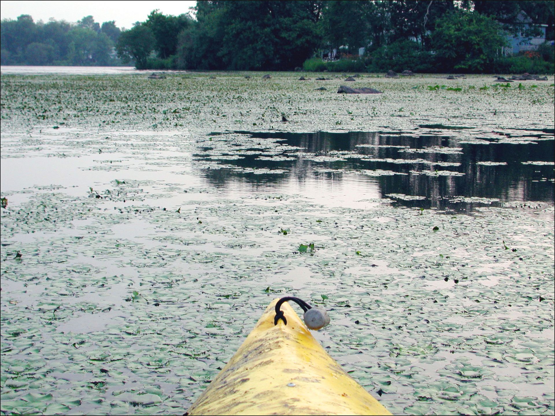 HPHistory-2-WeedChokedPond-edged