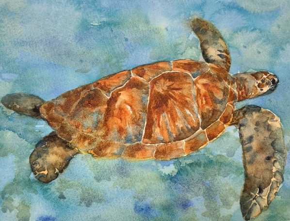Watercolor painting of a sea turtle swimming underwater; brown shell, blue water.