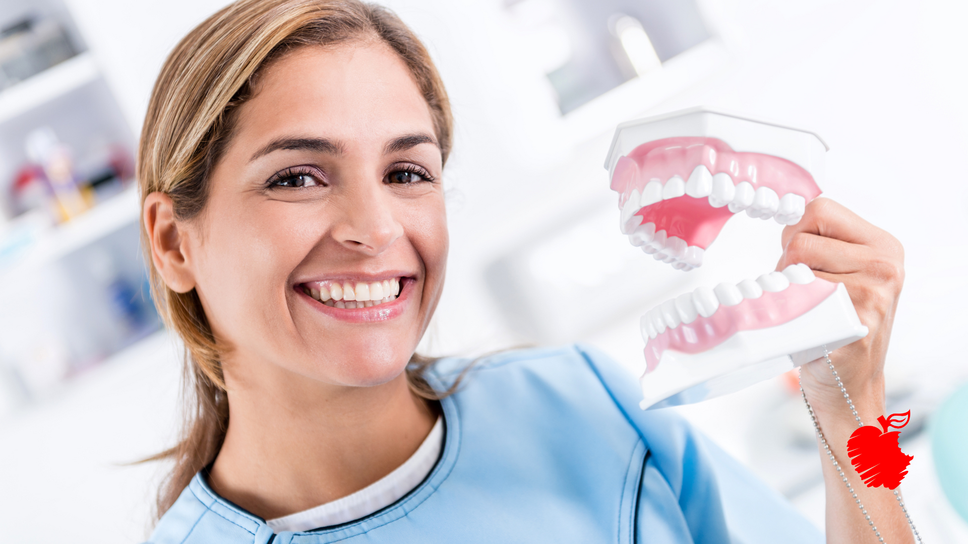 A female dentist is smiling while holding a model of teeth.