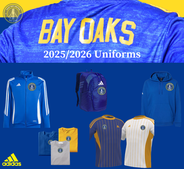 women's forum low adidas