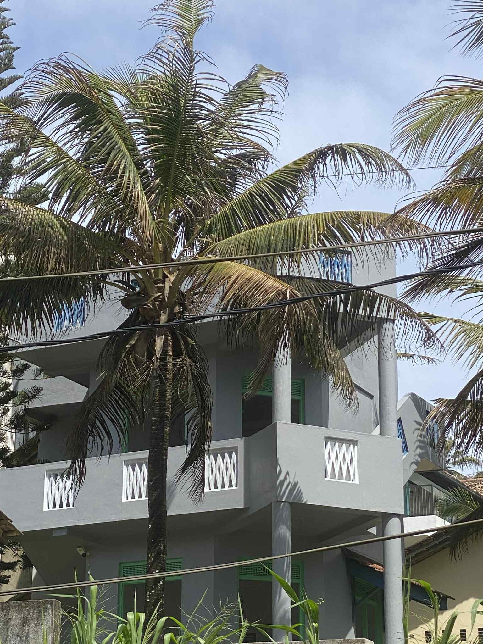 Gray multi-story building with palm trees in front; blue sky visible.