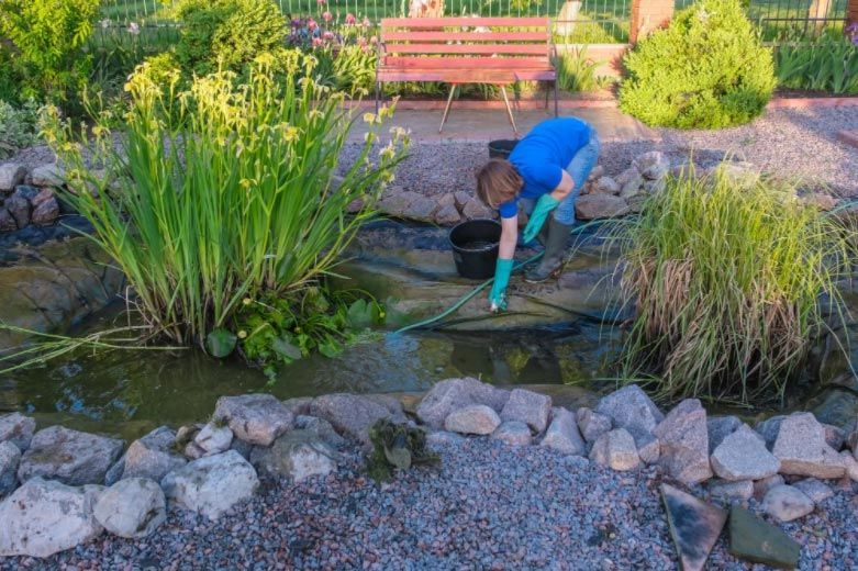 Tips for Spring Pond Cleanout and Maintenance