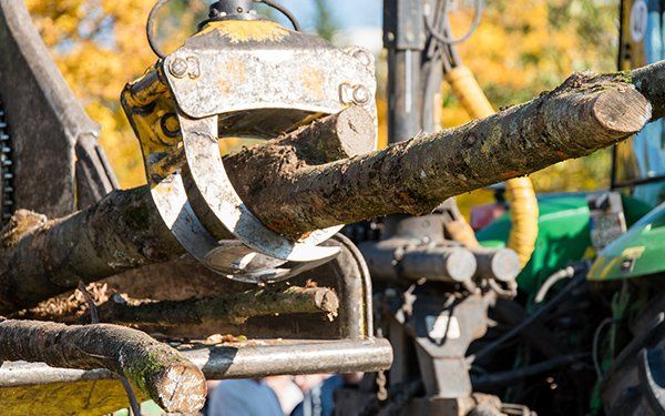 View Clearance & Enhancements — Tree Trimming in Littleville, AL