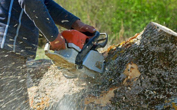 Landscape Installation — Tree Care in Littleville, AL