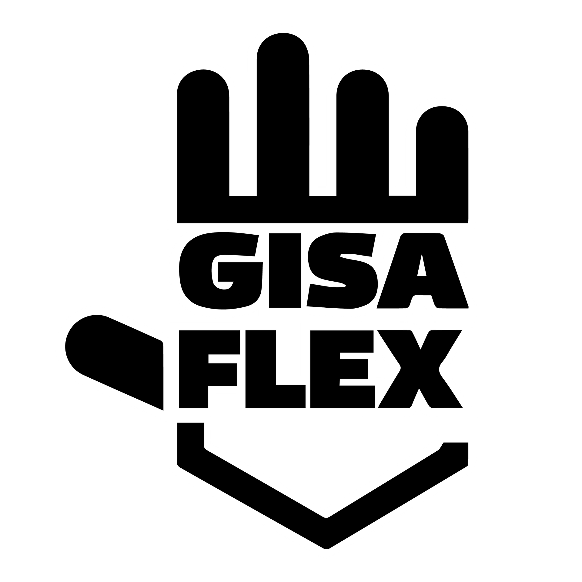 Un logotipo en blanco y negro para una empresa llamada gisa flex.