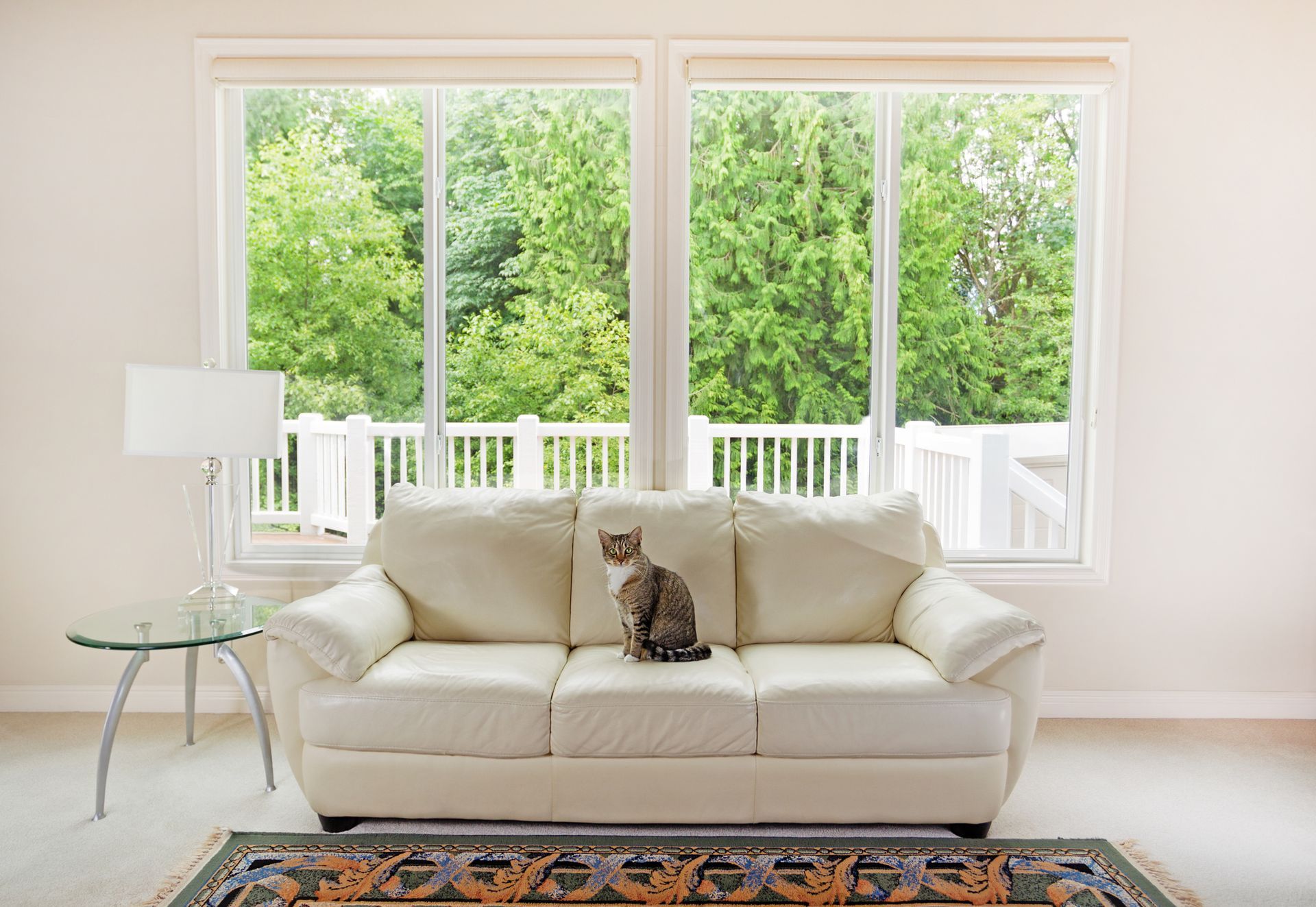 Cat on a white sofa in front of large windows with a view of trees.