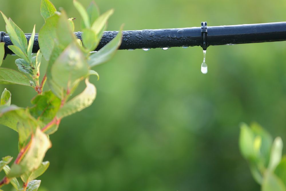Drip Irrigation Systems — Ault, CO — Quality Well & Pump
