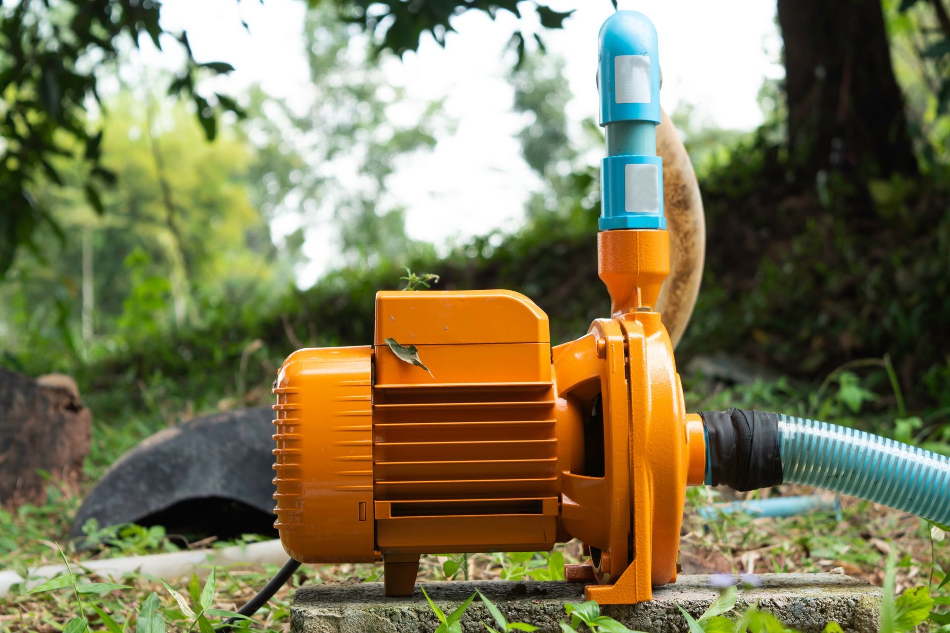 Electric water pump Located at the edge of the pond, used for agriculture