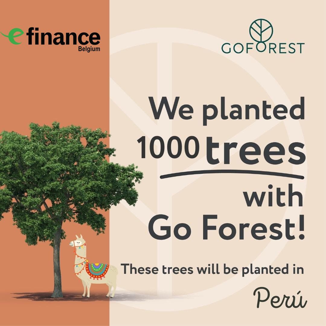Efinance Belgium plant 1000 bomen met Go Forest