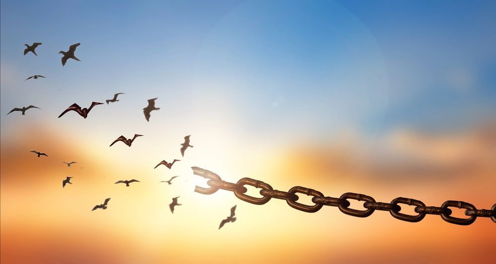 Broken chain with birds flying away with a sunset background