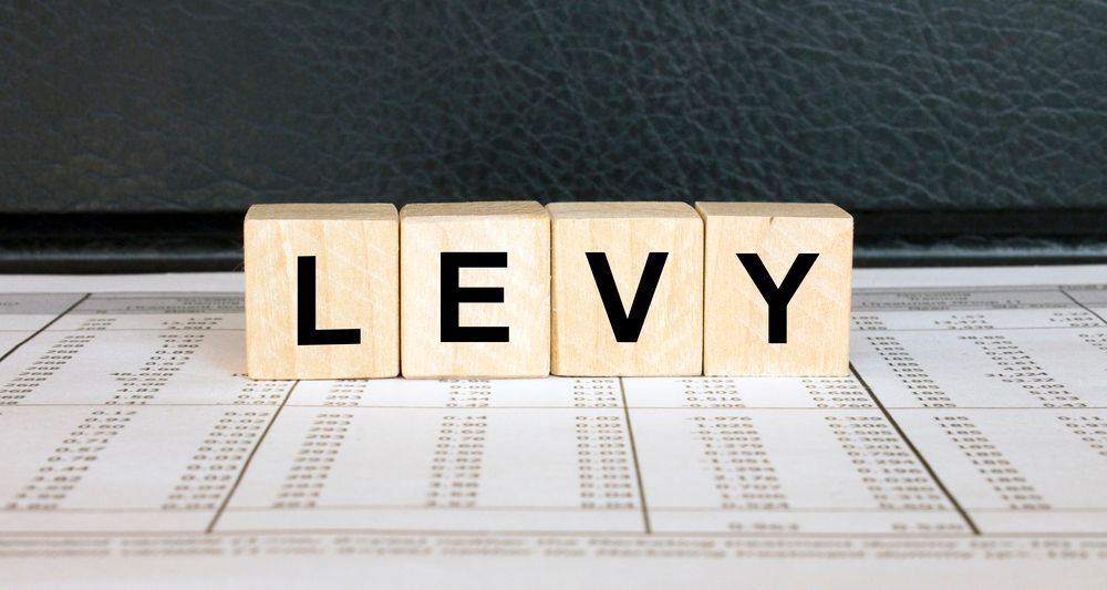 LEVY spelled with wooden blocks