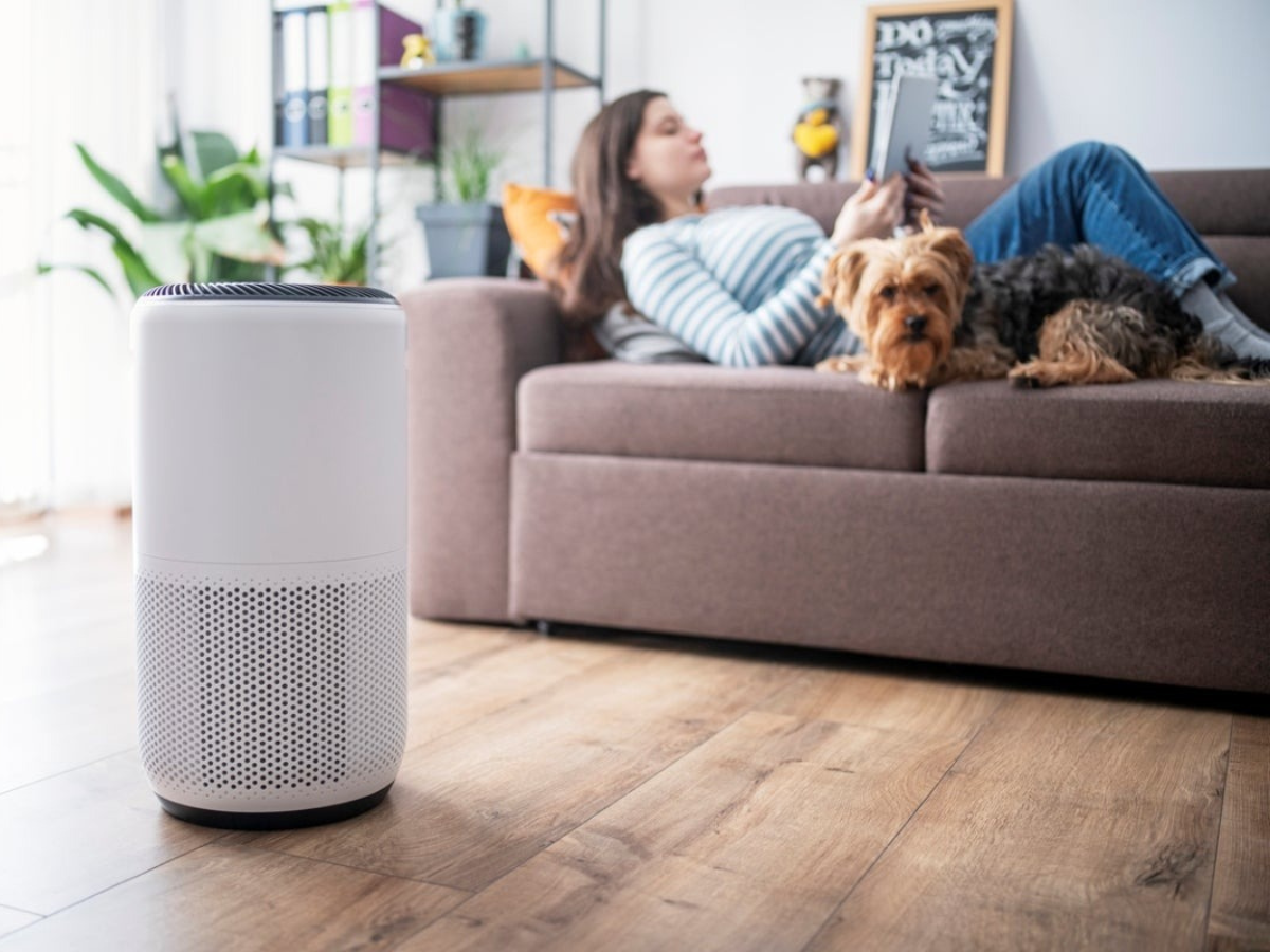 improve air quality home