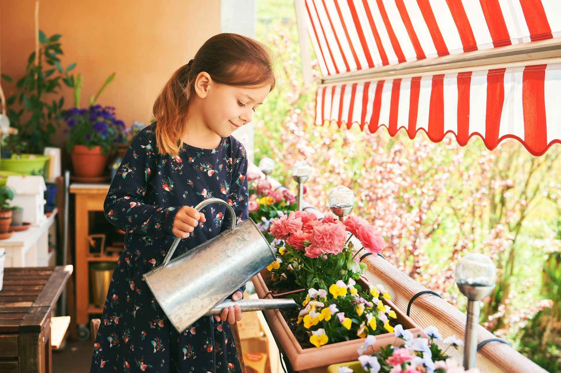 best awnings for balconies and windows 