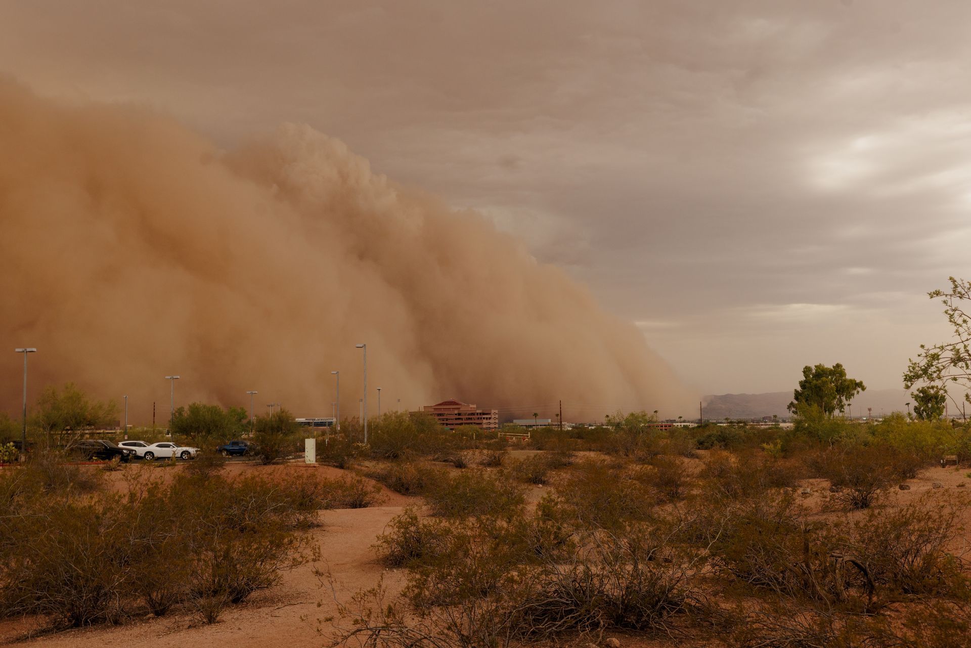 monsoon in Tempe AZ
