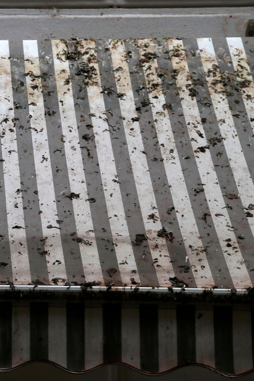 Canopy Shades for sale - Arizona Awning