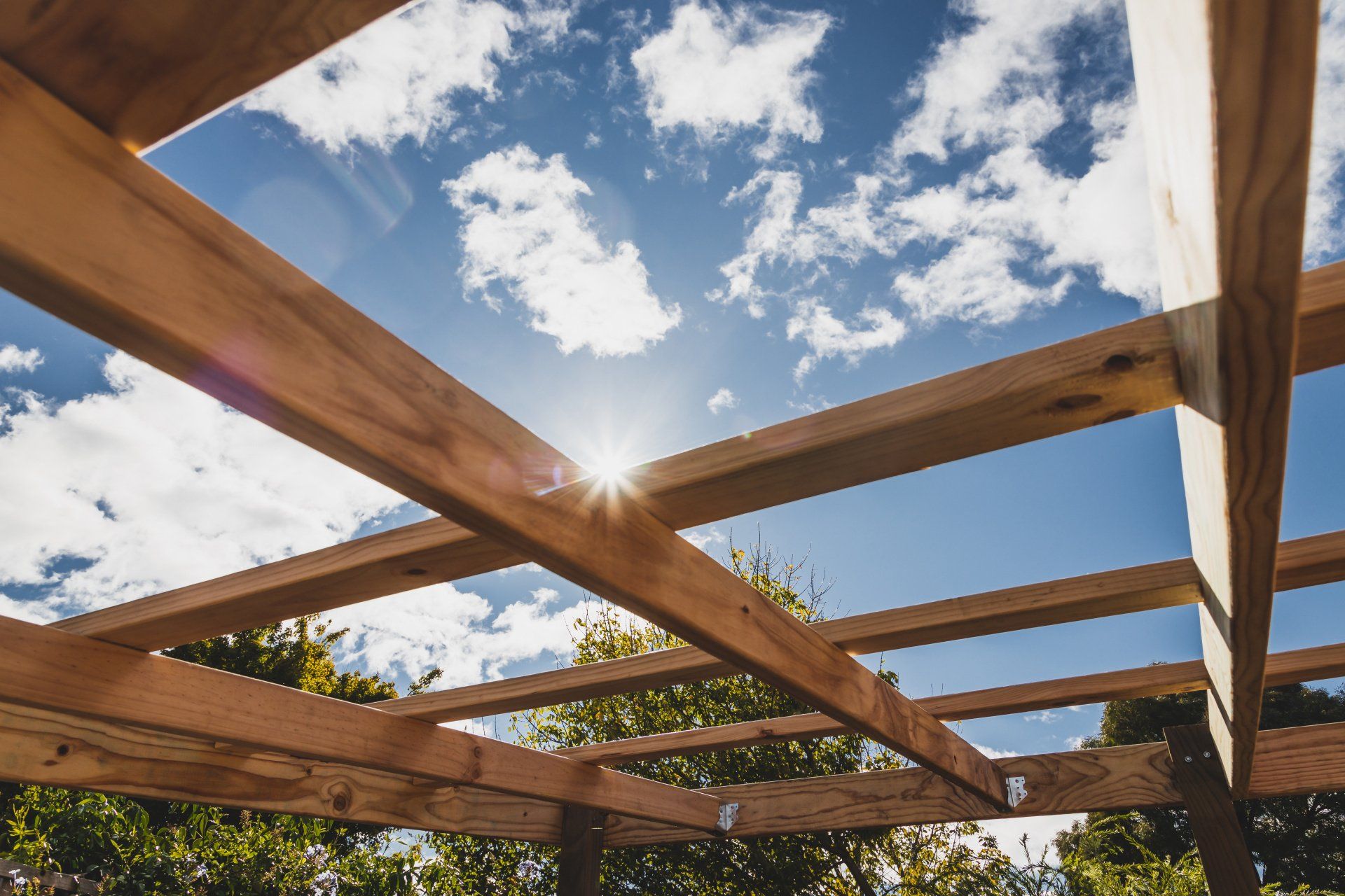 pergola structure in sunlight with plants